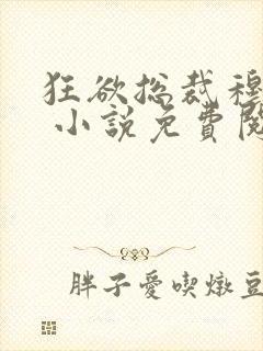 狂欲总裁穆非雪 小说免费阅读