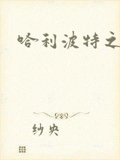 哈利波特之守护封面