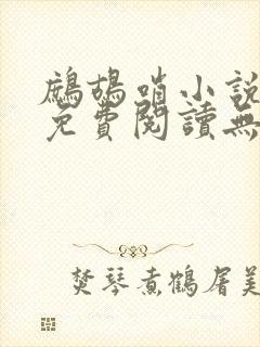 鹧鸪哨小说网站免费阅读无弹窗