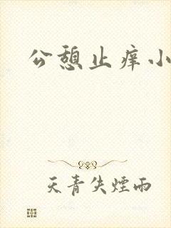 公憩止痒小说封面