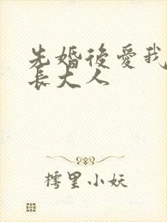 先婚后爱我的市长大人封面