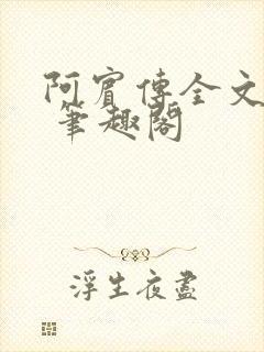 阿宾传全文阅读 笔趣阁