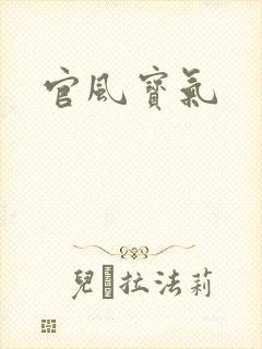 官风宝气封面