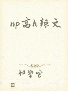 np高h辣文封面