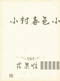 小村春色小说封面