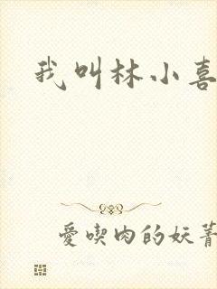 我叫林小喜17封面