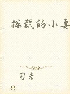 总裁的小妻子