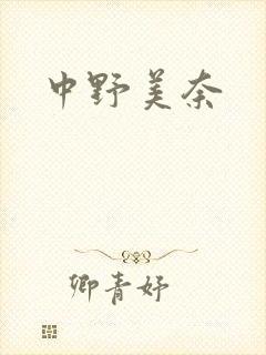 中野美奈封面