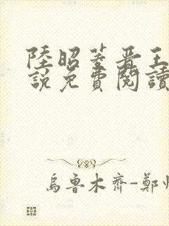 陆昭菱晋王的小说免费阅读