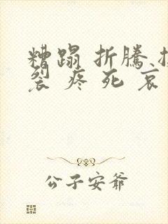 糟蹋 折腾 撕裂 疼 死 哀求