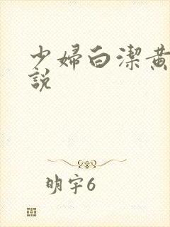 少妇白洁黄色小说