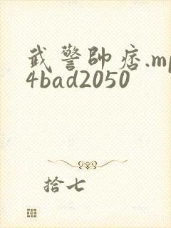 武警帅痞.mp4bad2050