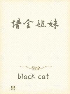 借金姐妹封面