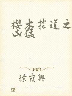 樱木花道之重生凶猛