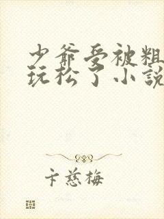 少爷受被粗汉H玩松了小说