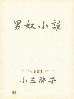 男奴小说