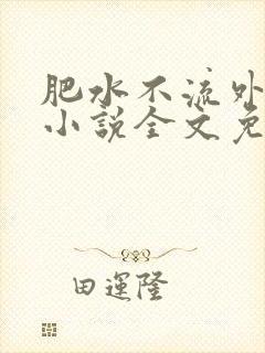 肥水不流外人田小说全文免费阅读1封面