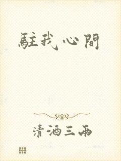 驻我心间