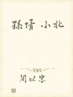 孙倩 小北封面