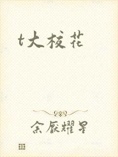 t大校花
