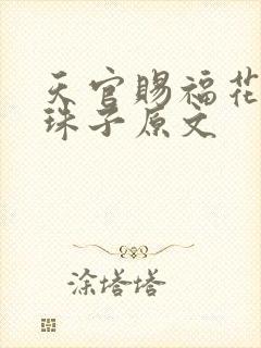 天官赐福花怜塞珠子原文