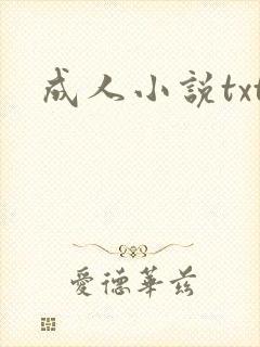 成人小说txt封面
