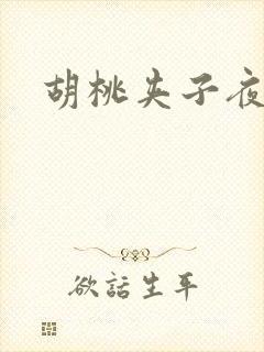 胡桃夹子夜未眠