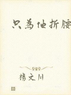 只为他折腰封面