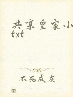 共享皇家小公主txt