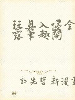 玩具入侵金银花露笔趣阁封面