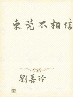 东莞不相信眼泪封面