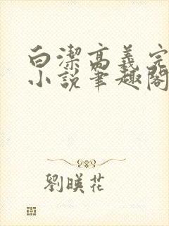 白洁高义完整版小说笔趣阁封面