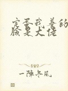 完蛋我养的小白脸是大佬