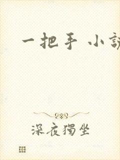 一把手 小说