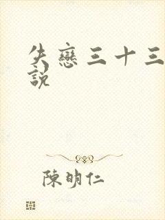 失恋三十三天小说