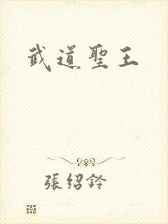 武道圣王封面