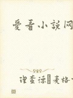 爱看小说网