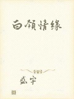 白领情缘