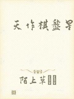 天作棋盘星作子