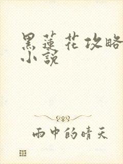 黑莲花攻略手册小说