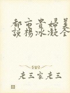 都市贵妇美腿小说杨冰凝全文阅读