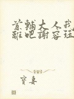 首辅大人我们和离吧谢容珏