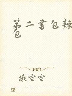 第二书包辣荷花包封面