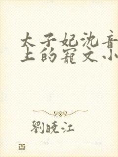 太子妃沈音和皇上的宠文小说