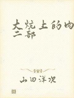 大炕上的肉伦第二部