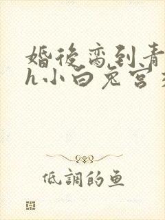 婚后脔到青梅哭h小白兔宫交h