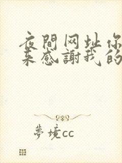 夜间网址你会回来感谢我的封面