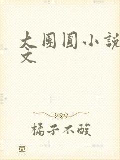 大团圆小说集全文