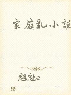 家庭乱小说
