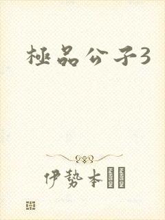 极品公子3